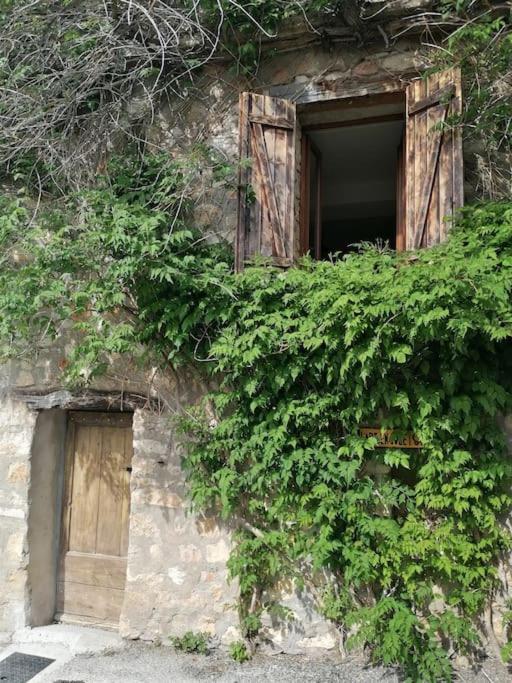 La Maison De La Vigne Bauduen Zewnętrze zdjęcie
